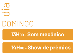 prog-domingo_